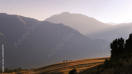 sunset in the mountains with isolated lonely tree in a distance