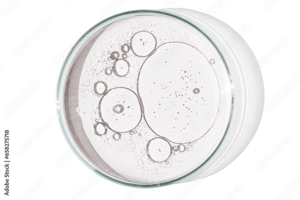 Petri dish isolated on empty background. drops, stains, bacteria and molecules in a Petri dish. Petri dish isolated on empty background. drops, stains, bacteria and molecules in a Petri dish.
