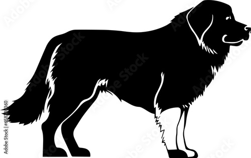 Great Pyrenees Mix icon 1