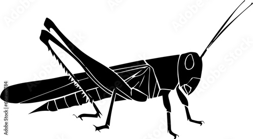 Grasshopper icon 7