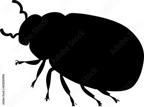 Grapevine Beetle icon 1