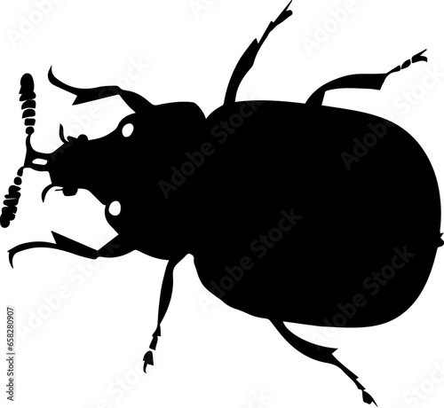 Grapevine Beetle icon 3