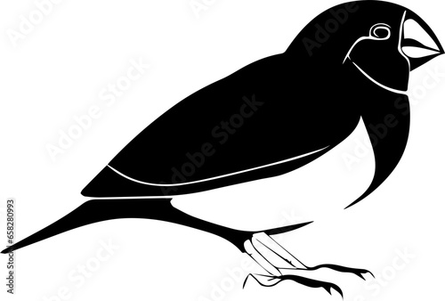 Gouldian Finch icon 1
