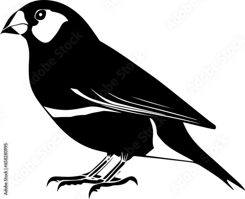 Gouldian Finch icon 7