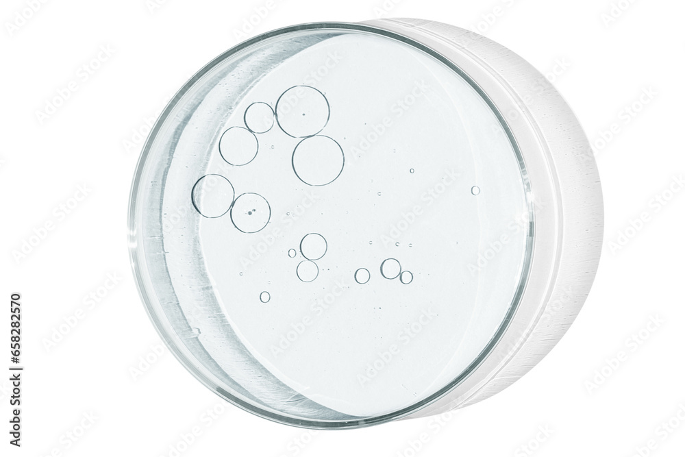 Petri dish isolated on empty background. drops, stains, bacteria and molecules in a Petri dish. Petri dish isolated on empty background. drops, stains, bacteria and molecules in a Petri dish.