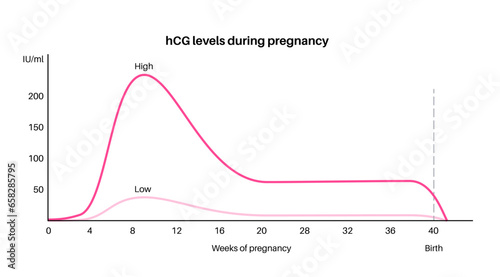 Hormones in pregnancy