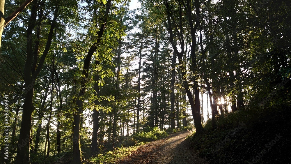 Obraz premium Bilder einer Wanderung entlang an der Südhessischen Bergstraße mit Blick auf Weinberge