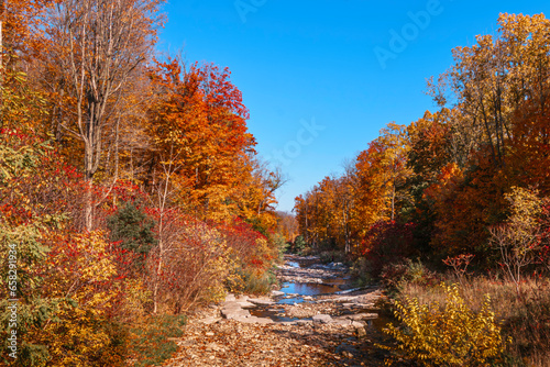 Amazing Autumn foliage in Niagara Escarpment Valley, Red Hill Valley Trail in Hamilton, On, Canada