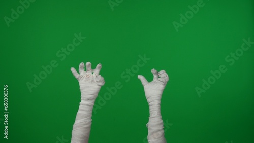 Detail green screen isolated chroma key photo capturing mummy's hands raised up in the air, creepily moving. photo