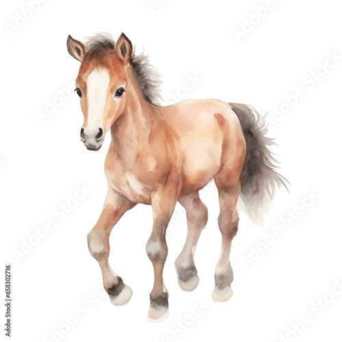 Watercolor baby horse isolated on white. Vector illustration with hand drawn cute pony. Clip art image.