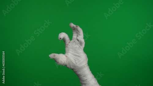 Detail green screen isolated chroma key photo capturing mummy's hand raising up in the air, creepily moving. photo