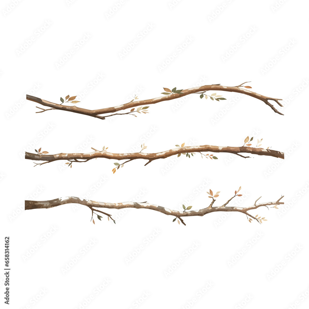 Tree branches collection set. Isolated white background rustic arch watercolor design elements illustration