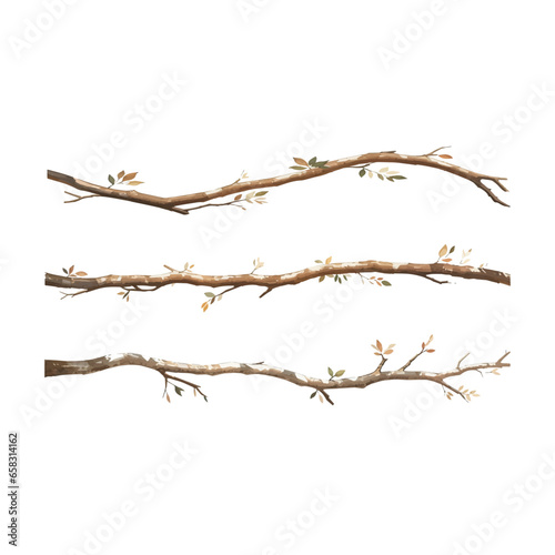 Tree branches collection set. Isolated white background rustic arch watercolor design elements illustration