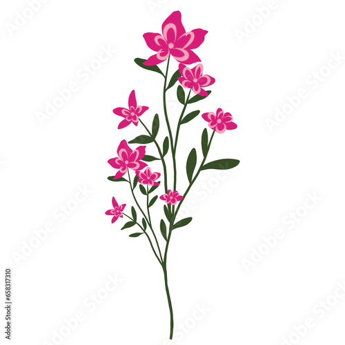 Pink Wild Flower and Plants