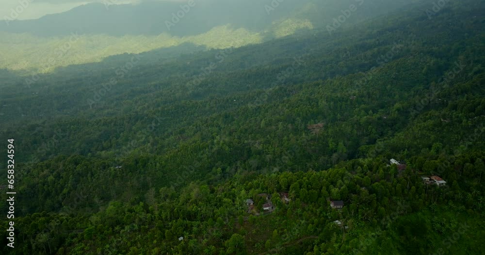 Drone view of Bali. Tropical forest interior. Nature background of a rainforest Drone view of Bali. Tropical forest interior. Nature background of a rainforest