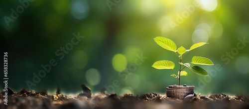 Blurred green backdrop with a tree and leaves symbolizing finance