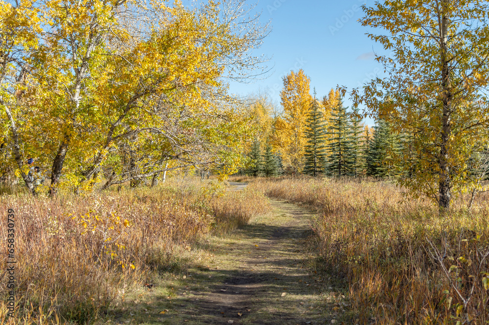 Enchanting Fall: Park Pathways Draped in Autumn Hues Enchanting Fall: Park Pathways Draped in Autumn Hues