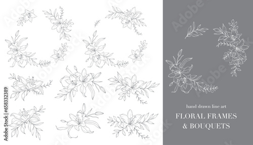 Lily Flower Line Art. Floral Frames and Bouquets Line Art. Fine Line Lilies Frames Hand Drawn Illustration. Outline Leaves and Flowers. Botanical Coloring Page. Outline Lily Isolated on White
