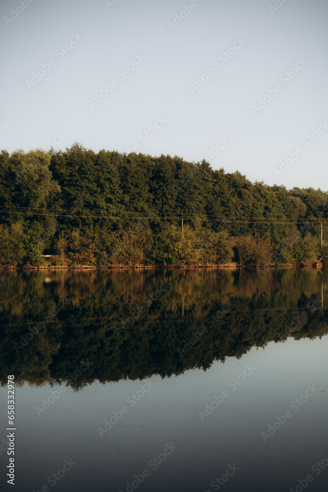 Fototapeta premium trees reflected in water