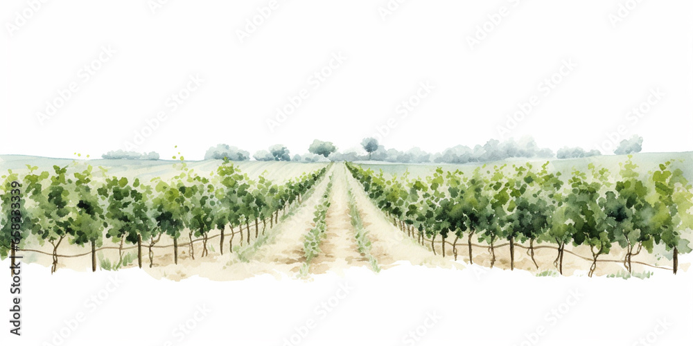custom made wallpaper toronto digitalWatercolour Collection { No1 } Homegrown Grape Wine Products Made at Eco Sustainable Farm:  Red Pink, White, Green, Grapes, Cheese, Grapes in Hands, Glass of Wine, Leaves, Grapes in Basket, Vineyard.