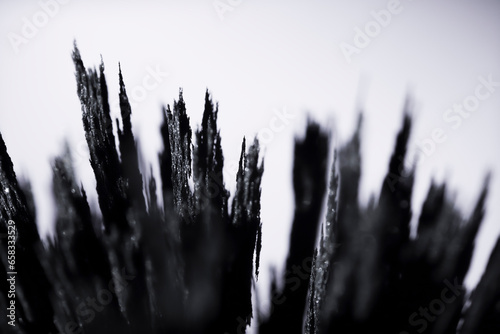 Iron filings spikes. Reaction of iron dust to a magnetic field. Visualisation. Texture, of magnetic particles. Black and white futuristic.