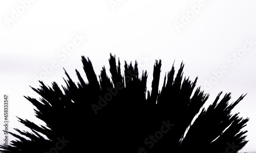 Iron dust spikes outline. Reaction of iron dust to a magnetic field close up silhouette on white background. Black and white futuristic.