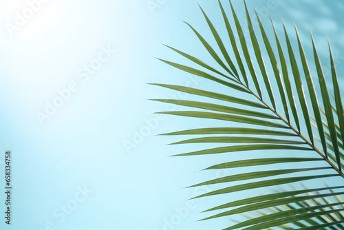 Tranquil Retreat  Coconut Palm Leaf Casting Shade on a Blue Wall  Evoking Serenity. Generative AI