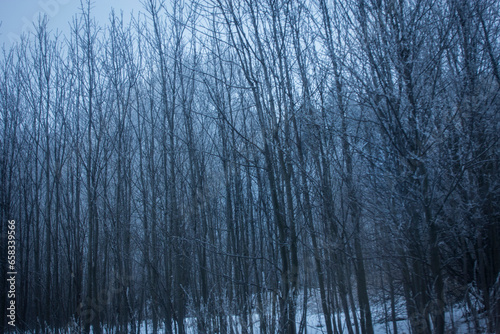 Winter ghosts © Nucis