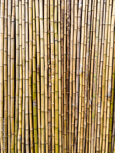 Bamboo fence wall texture background ecology construction. Natural brown bamboo plank fence texture for background.
