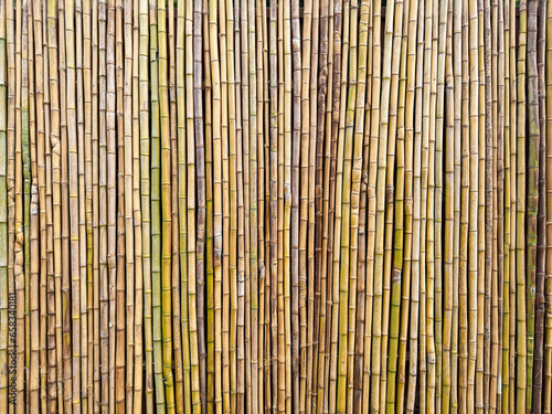 Fototapeta Naklejka Na Ścianę i Meble -  Bamboo fence wall texture background ecology construction. Natural brown bamboo plank fence texture for background.