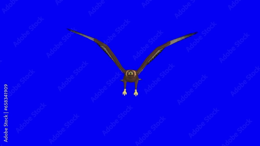 Golden Eagle - Flying Loop - Front View - Realistic 3D animation isolated on blue screen background Golden Eagle - Flying Loop - Front View - Realistic 3D animation isolated on blue screen background