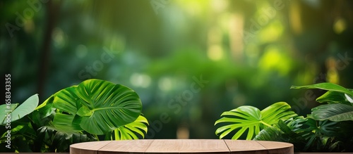 Blurry green monstera plant on a wooden outdoor podium displaying a natural beauty product