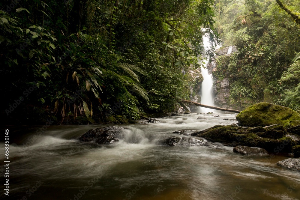 Cachoeira cercada de pedras, vegetação e troncos. Mata Atlântica, São Paulo, Brasil. Cachoeira cercada de pedras, vegetação e troncos. Mata Atlântica, São Paulo, Brasil.