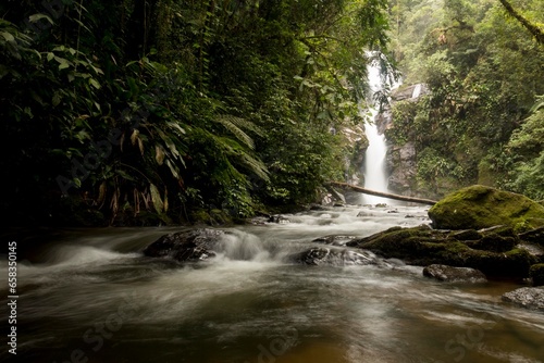 Cachoeira cercada de pedras, vegetação e troncos. Mata Atlântica, São Paulo, Brasil. 