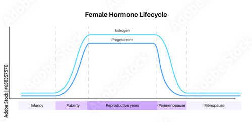 Hormones in pregnancy