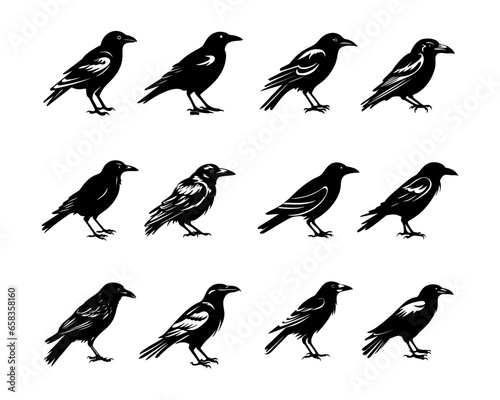 Black Crow Vector Illustrations Collection