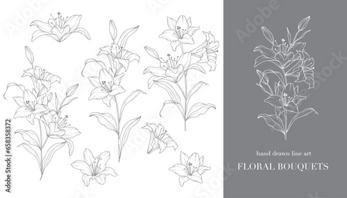 Lily Flower Line Art. Lilies Bouquets Line Art. Fine Line Lilies Arrangements Hand Drawn Illustration. Outline Leaves and Flowers. Botanical Coloring Page. Outline Lily Isolated on White 