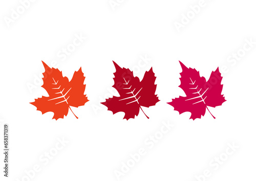 vector colorful leaf illustration designs