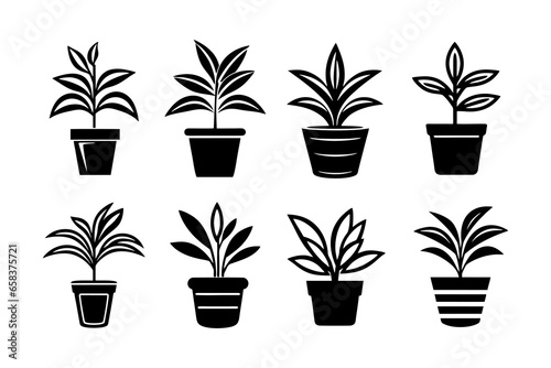Silhouette Plant in Pot Vector Illustrations Collection