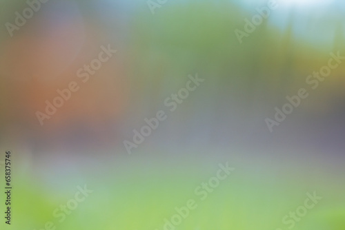 Blurred green nature background on a sunny day without focus