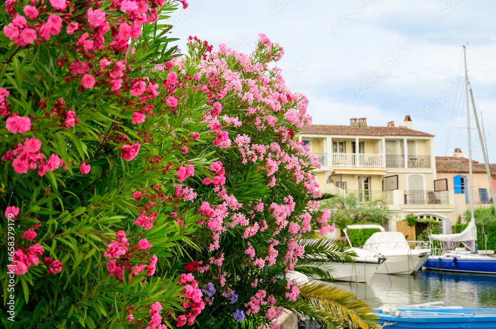 Fototapeta premium Colorful houses in Port Grimaud, village on Mediterranean sea with yacht harbour, Provence, summer vacation France