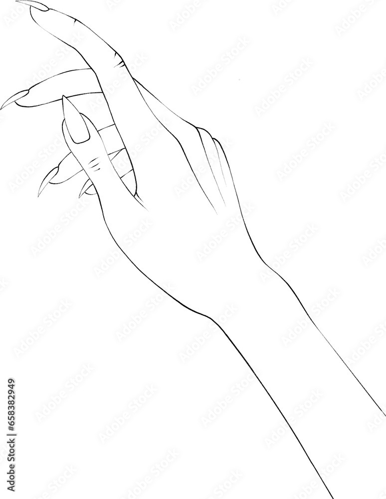 Obraz premium Women Hand in Thin Line Art. Minimalistic and Elegant Hand-Drawn Manicure Design for Female Beauty. High quality illustration