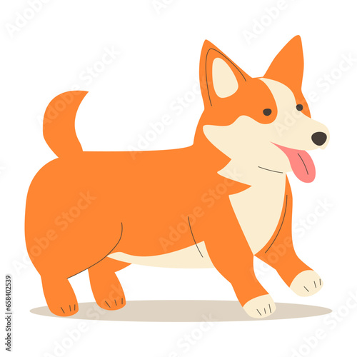 Corgi dog vector cartoon illustration. Cute friendly welsh corgi puppy sitting, smiling with tongue out isolated.