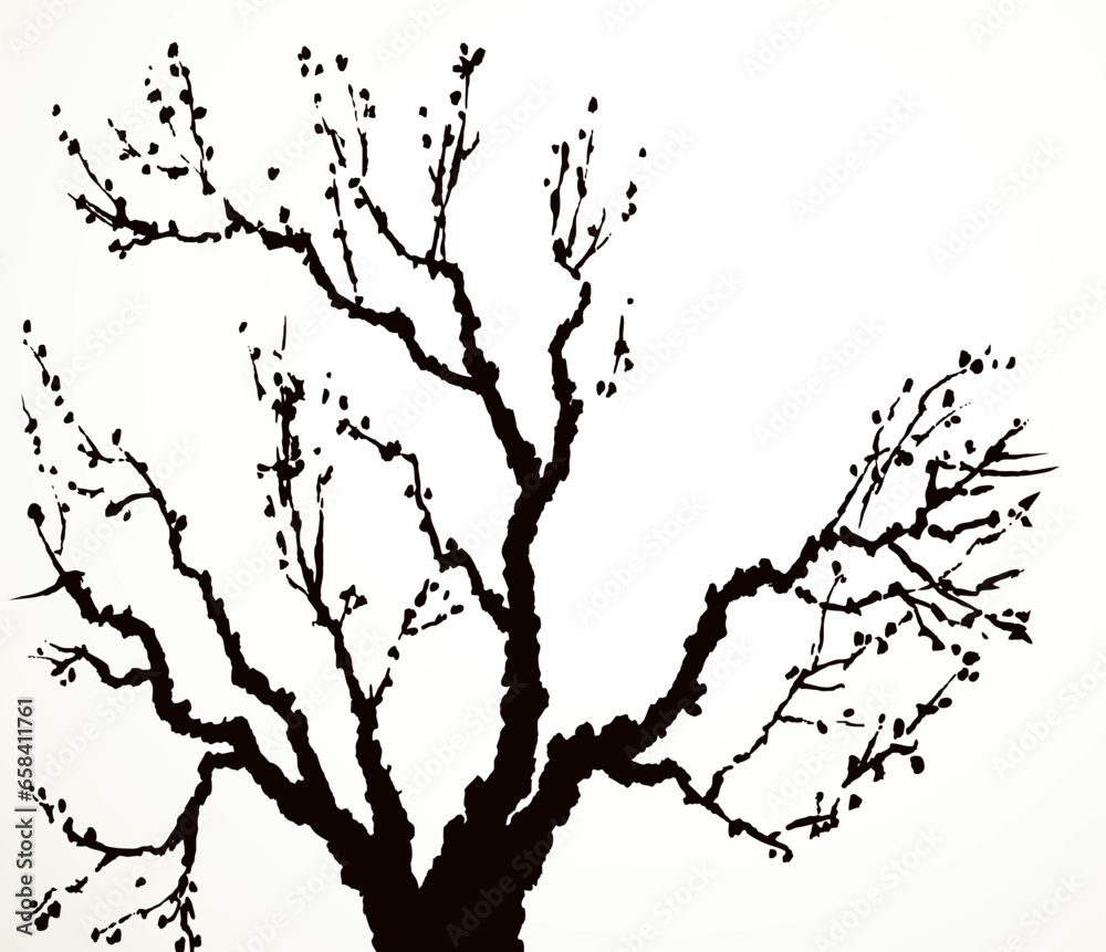 Vector image of mighty tree with bare branches Vector image of mighty tree with bare branches