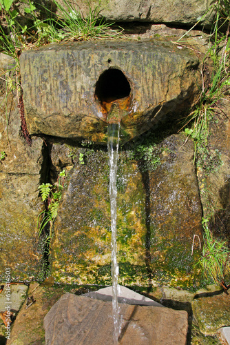 trinkwasserquelle im  silberbachtal photo
