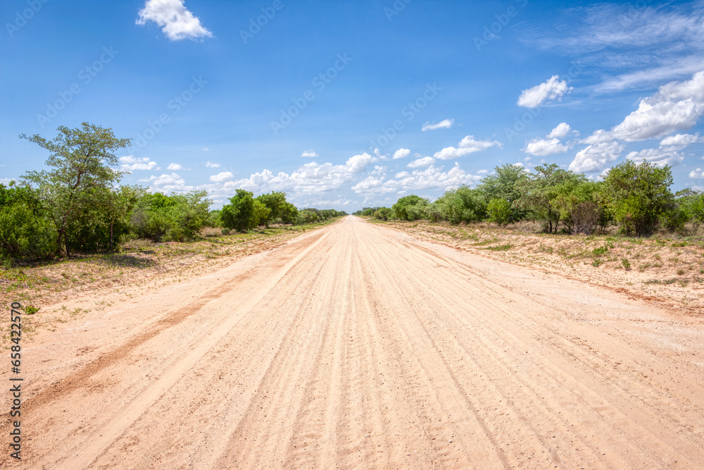 perspective of sand dirt road in the bush, outback dry landscape, daytime, sky with cumulus clouds - obrazy, fototapety, plakaty 