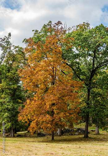 Early Autumn in Pennsylvania, USA