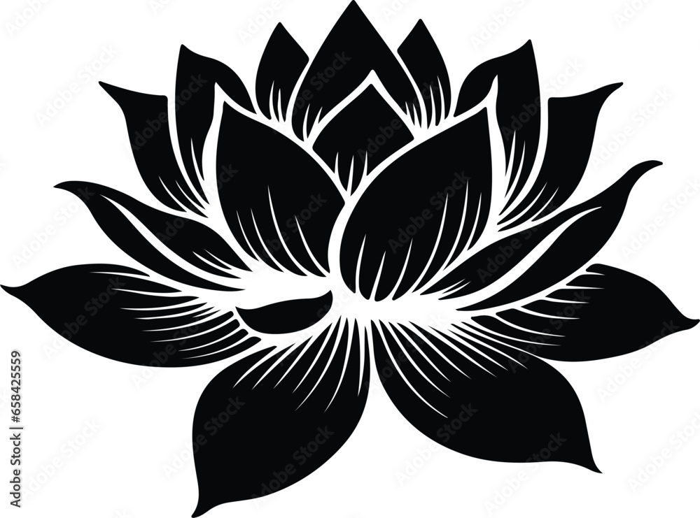 Lotus Blossom Asian Water Flower
