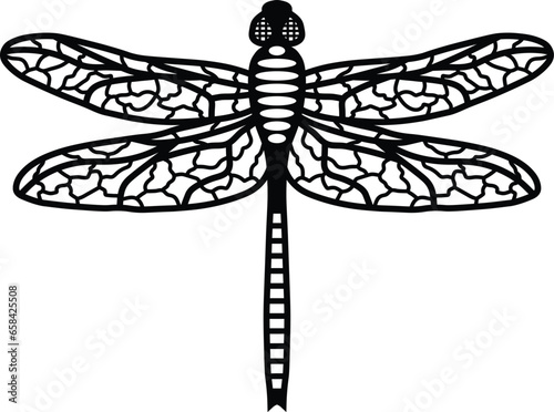 Dragonfly Insect With Outspread Wings 
