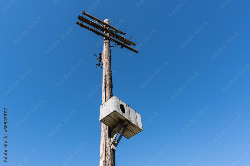 Large wood birdhouse wildlife box on old telephone pole.